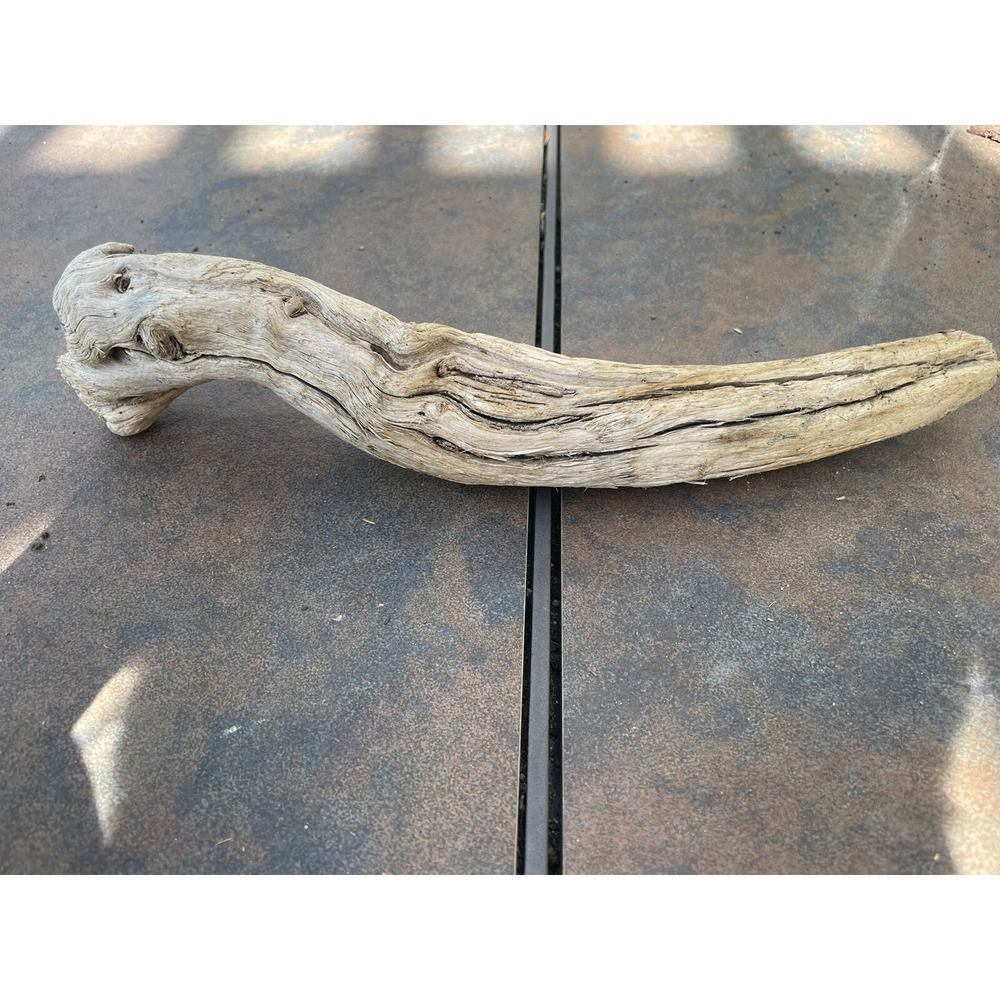 Natural Driftwood for Plants Terrarium Taxidermy Art Projects